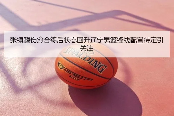 张镇麟伤愈合练后状态回升辽宁男篮锋线配置待定引关注